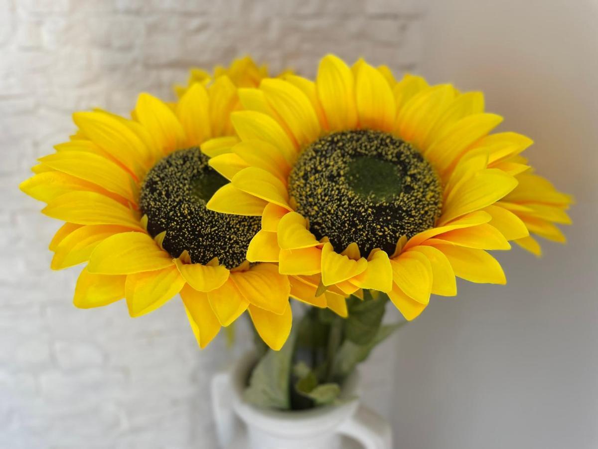 דירות לידו די אוסטיה Attico Girasole מראה חיצוני תמונה